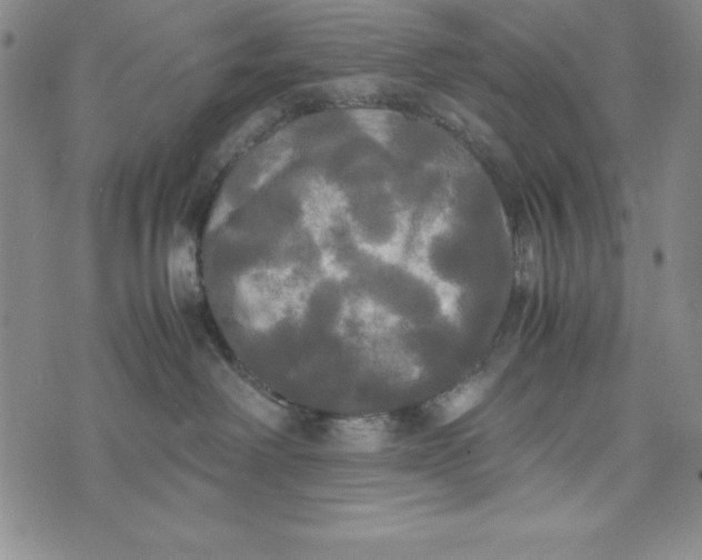 X0000072520238200608041540