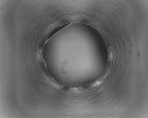 X0000072520239200608041540