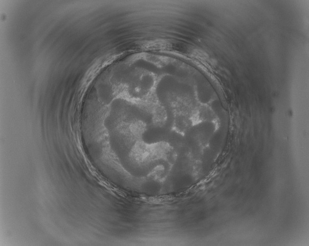 X0000072520241200608041539