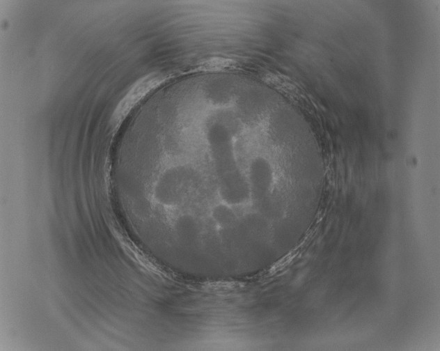 X0000072520242200608041539