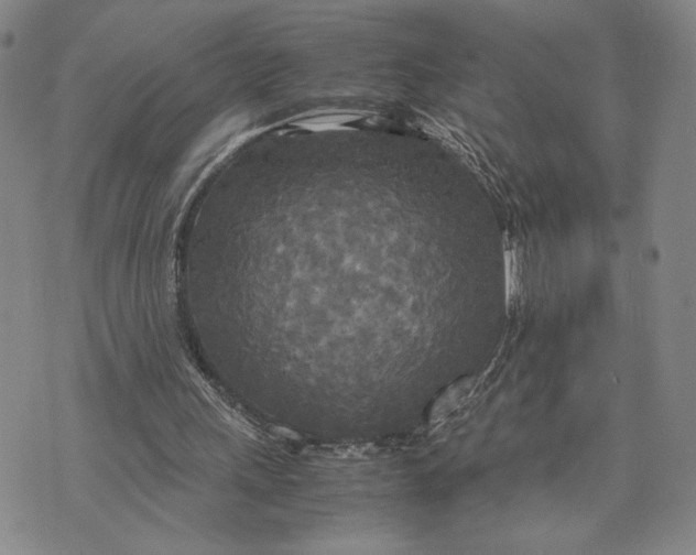 X0000072520243200608041539