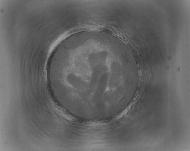 X0000072520246200608041539