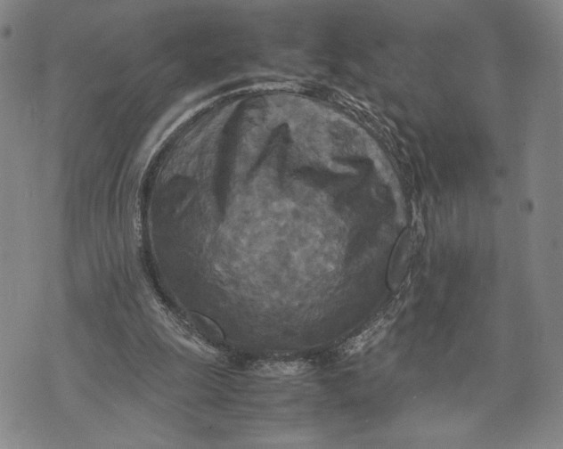 X0000072520247200608041539