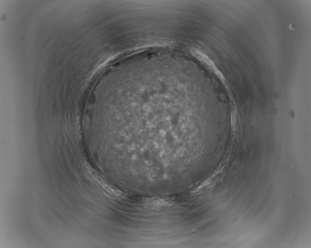 X0000072520249200608041539