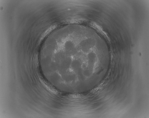 X0000072520250200608041539