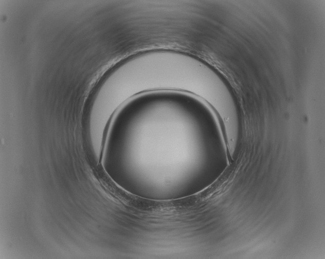 X0000072520252200608041539