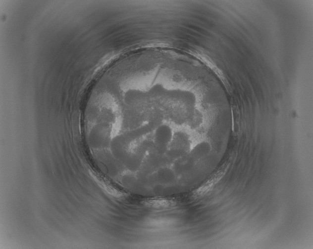 X0000072520253200608041539