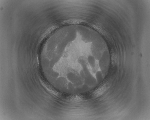 X0000072520254200608041539