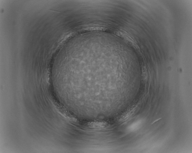 X0000072520255200608041539