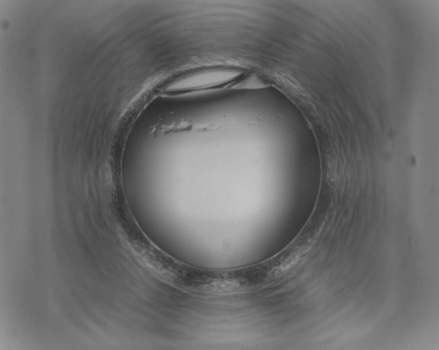 X0000072520256200608041539