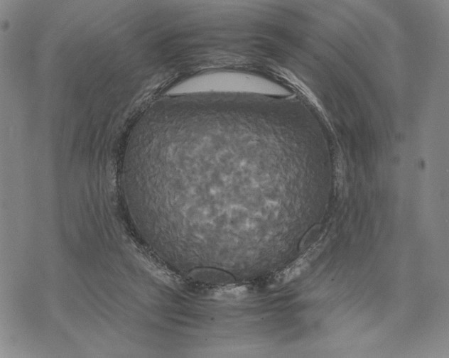 X0000072520257200608041539