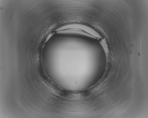 X0000072520260200608041539