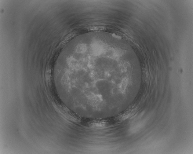 X0000072520263200608041539