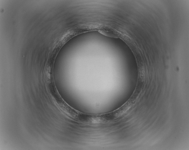 X0000072520264200608041539