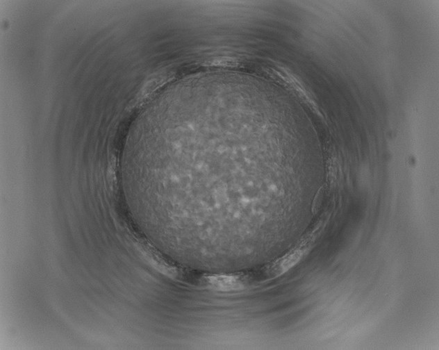 X0000072520265200608041539