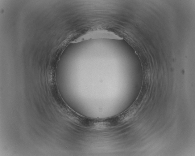 X0000072520268200608041539