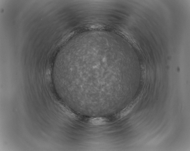 X0000072520269200608041539