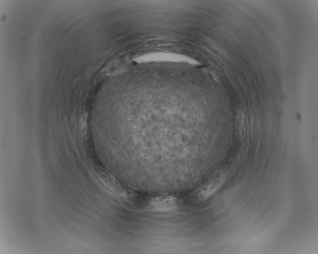 X0000072520271200608041539