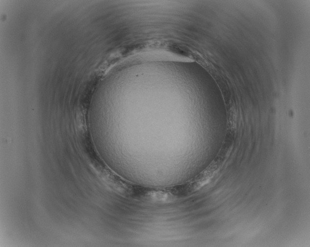 X0000072520272200608041539