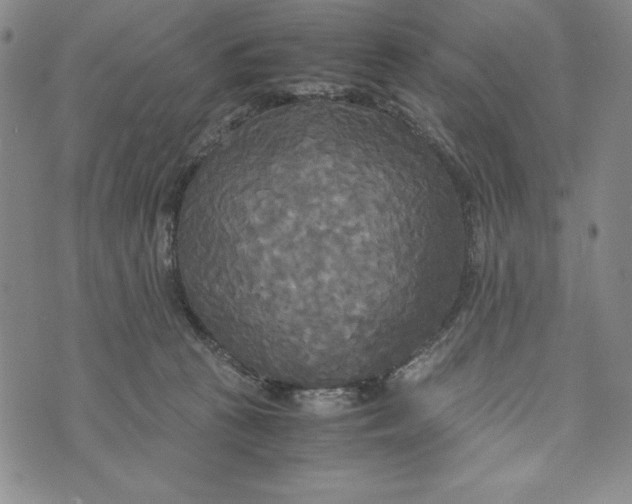 X0000072520273200608041539