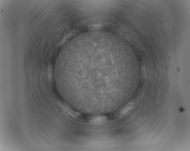 X0000072520274200608041539