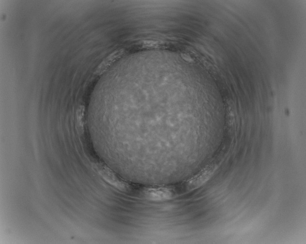 X0000072520275200608041539