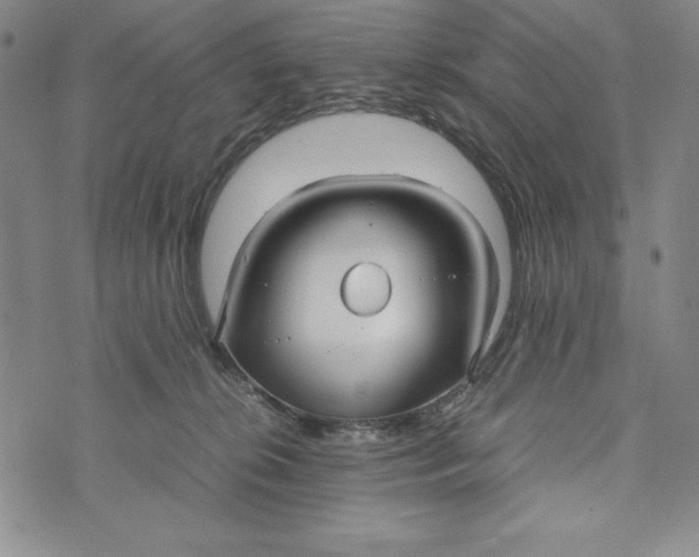 X0000072520276200608041539