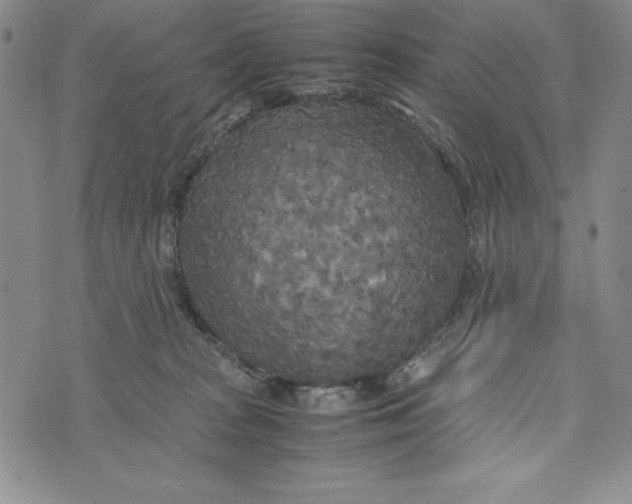 X0000072520277200608041540