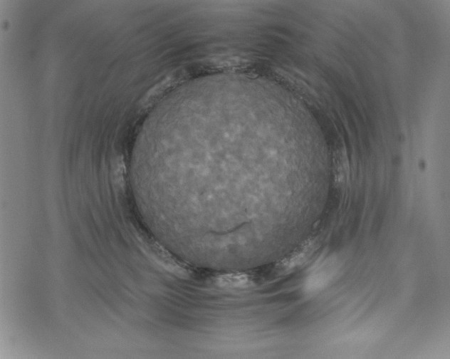 X0000072520279200608041540