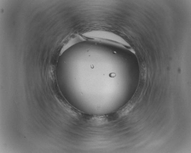 X0000072520280200608041540