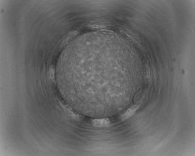 X0000072520281200608041540