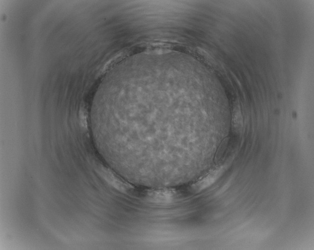 X0000072520282200608041540