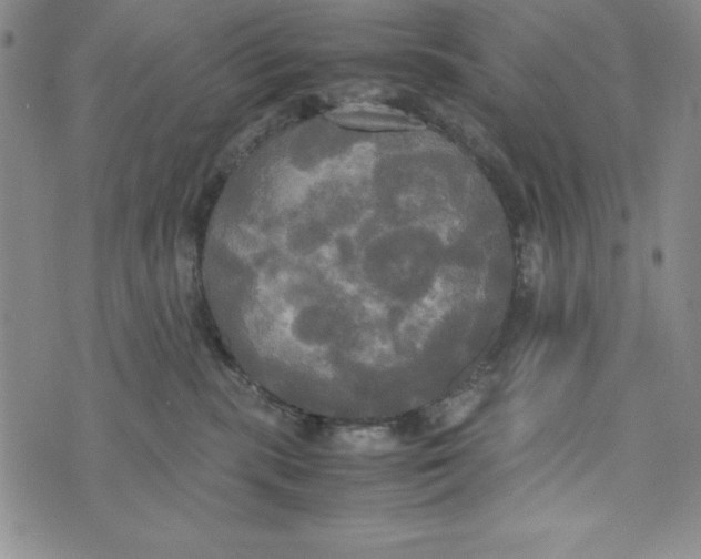 X0000072520283200608041540