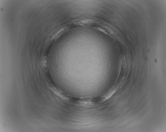 X0000072520284200608041540