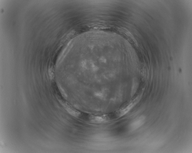 X0000072520285200608041540