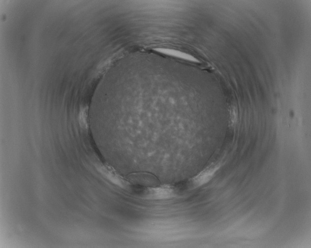 X0000072520286200608041540