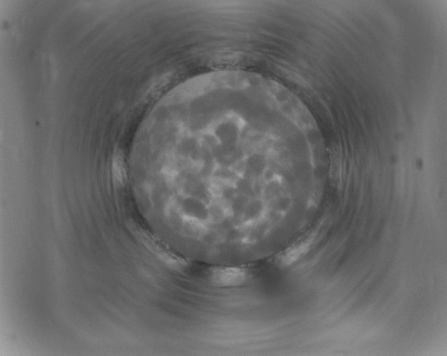 X0000072520287200608041540