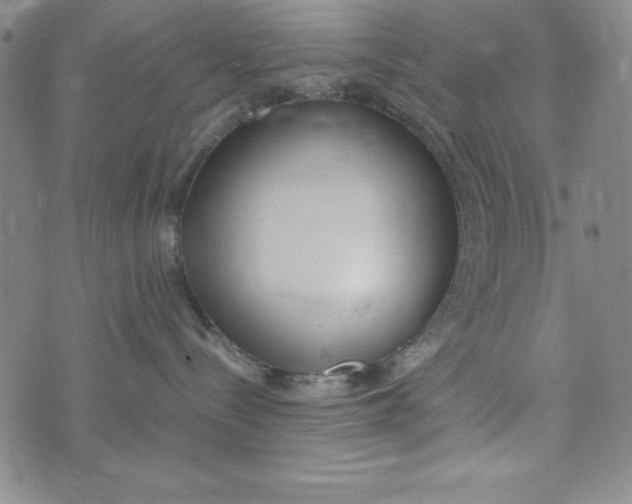 X0000072520288200608041540