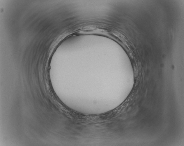 X0000072520289200608041539