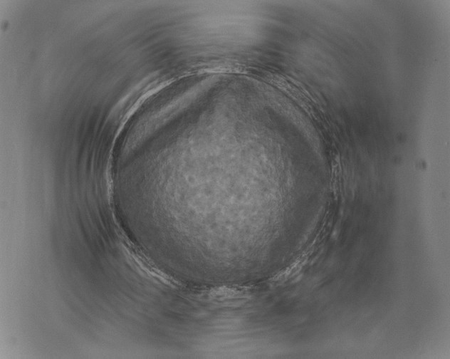 X0000072520290200608041539