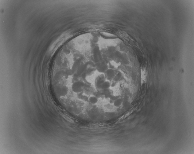 X0000072520291200608041539