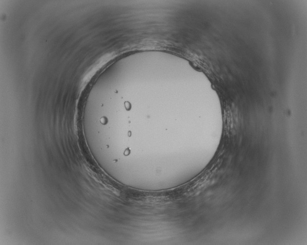 X0000072520292200608041539