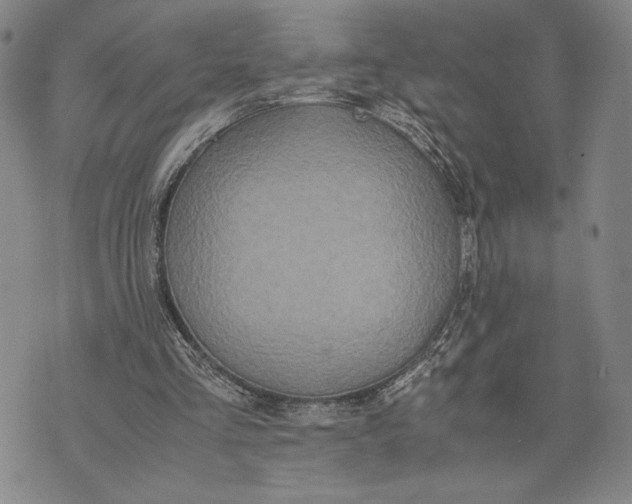 X0000072520293200608041539