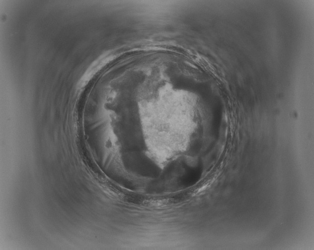 X0000072520295200608041539