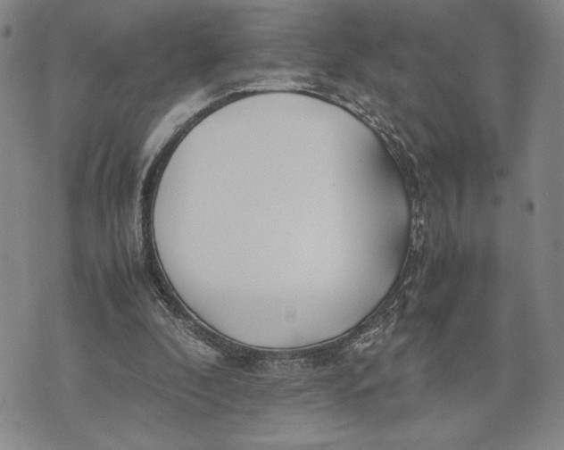 X0000072520296200608041539