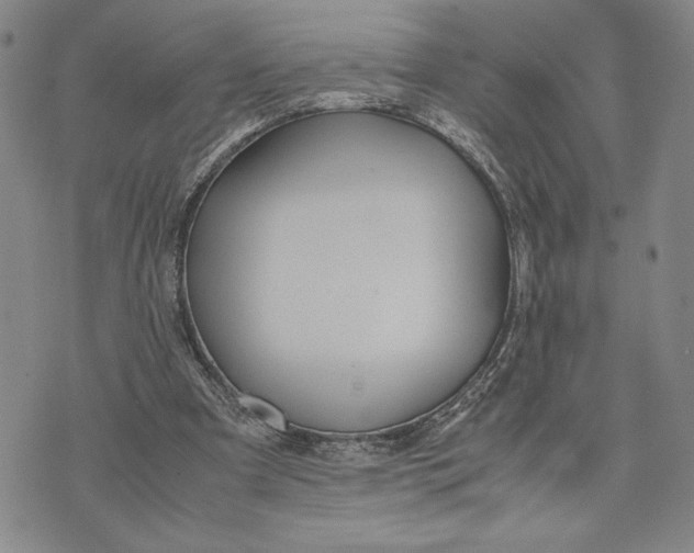 X0000072520297200608041539