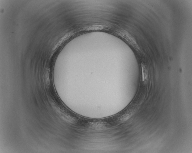 X0000072520300200608041539