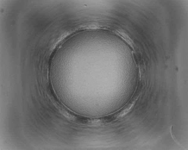 X0000072520301200608041539