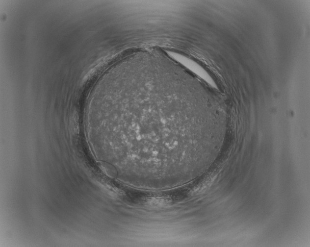 X0000072520303200608041539