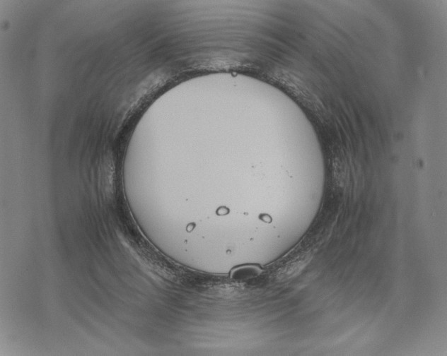 X0000072520304200608041539